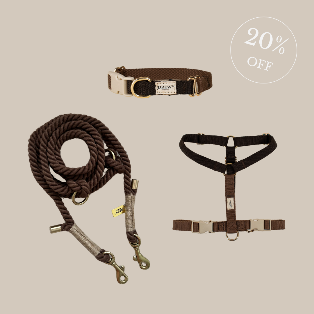 Schokoladenhalsband und Hundegeschirr + BRAUNE Standard-Hundeleine