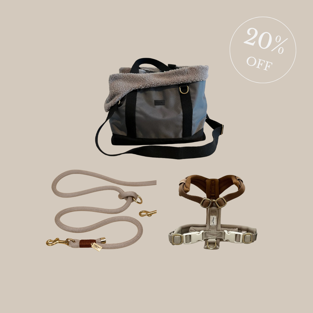 Otis Hundetasche + Cortado PRO Hundegeschirr + Chai Latte Standard Hundeleine