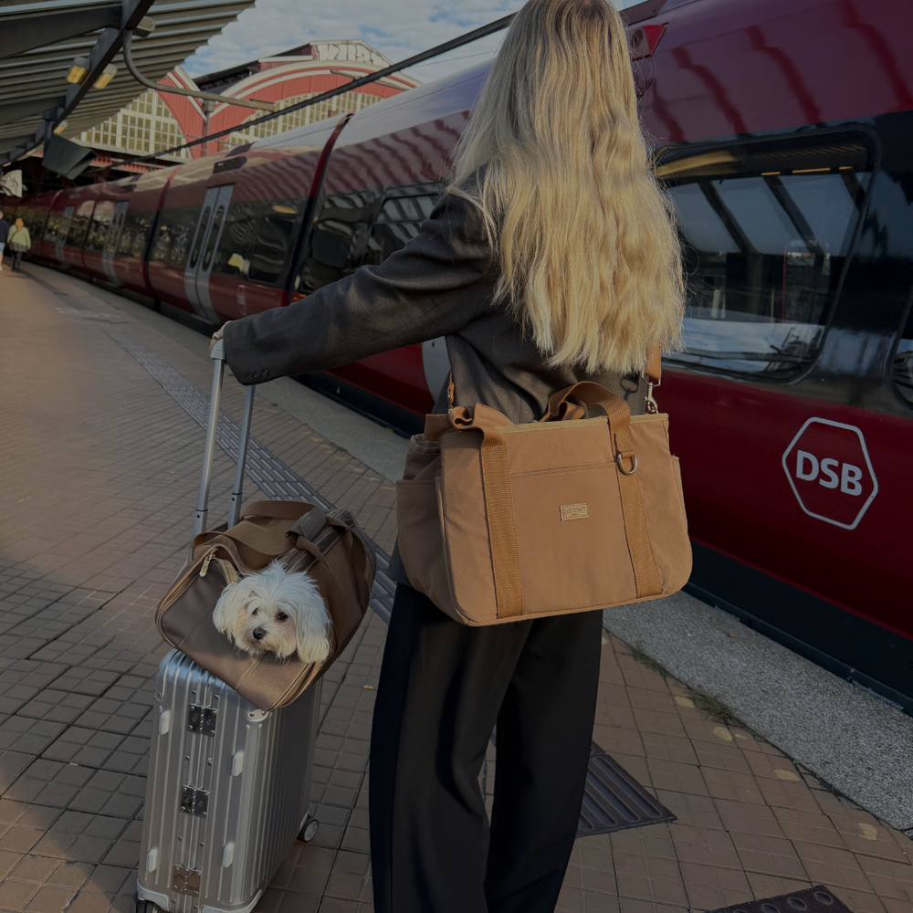 Hvad skal hunden have med på ferie?