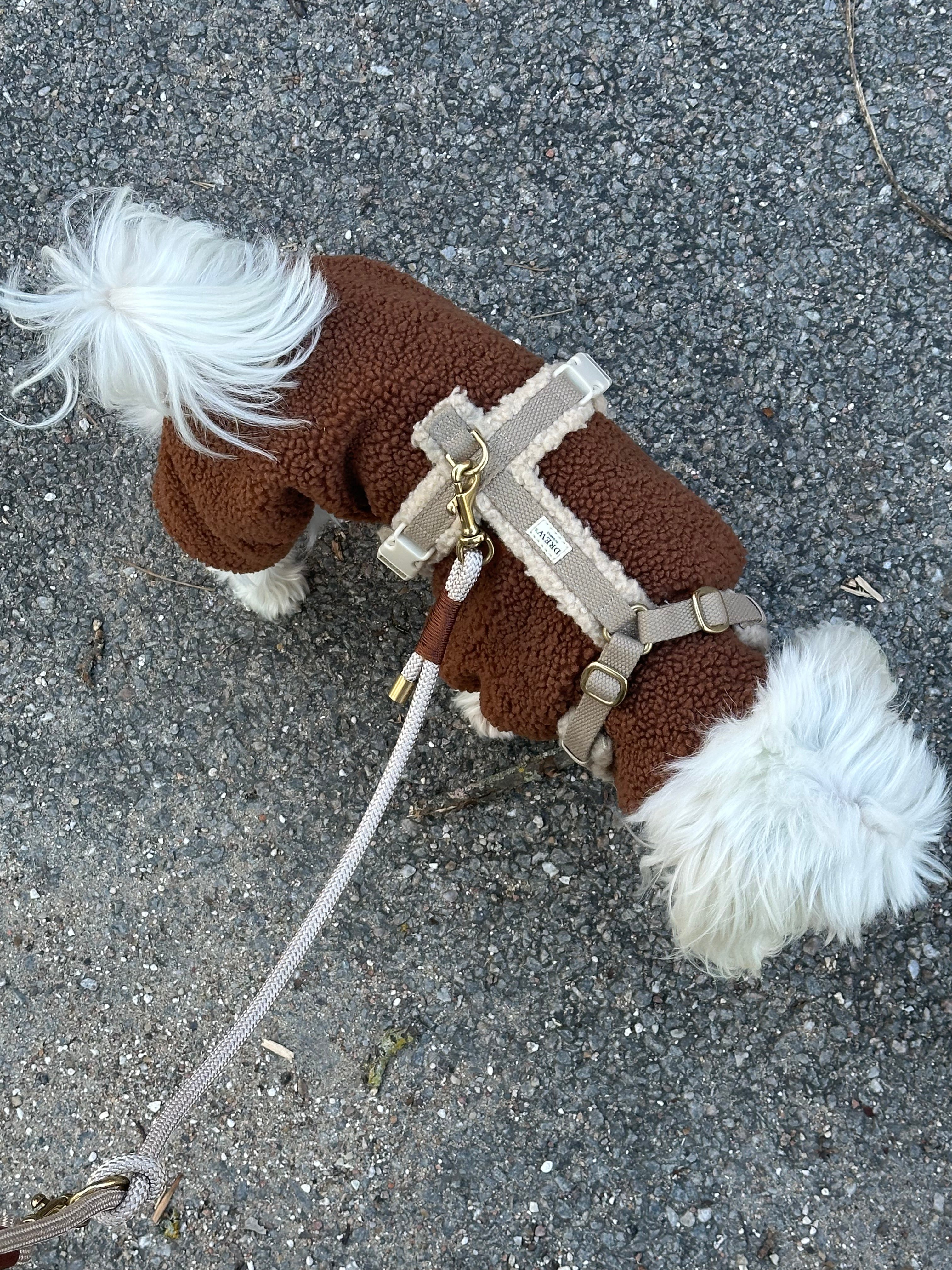 Hundekleidung