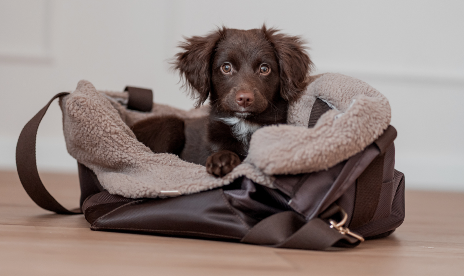 Alle Hundetaschen