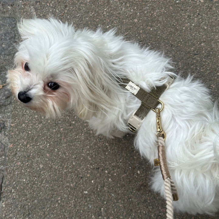 BEIGE hvalp / Justerbar og blød hundesnor