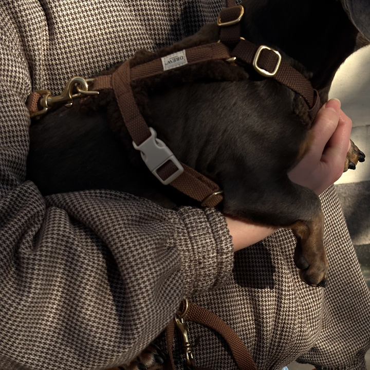 Brun / Blød & justerbar hundesele (teddy)