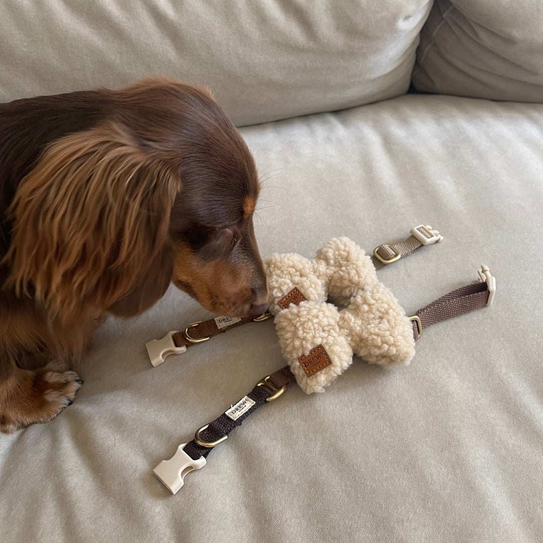 Butterfly i teddy med gravhund