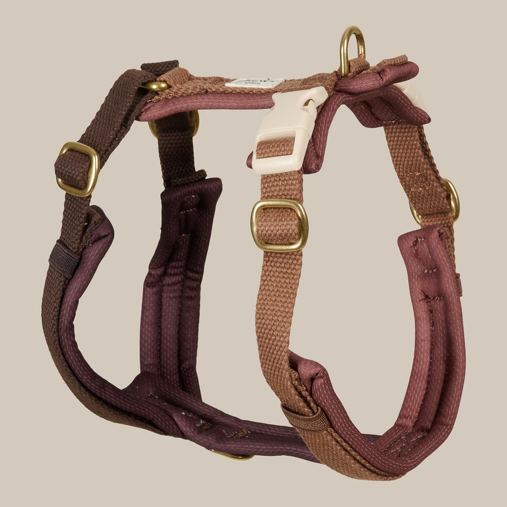 Brun hundesele fra siden