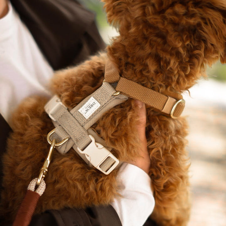 Beige og brun hundesele 