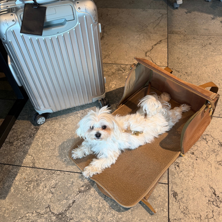 Flytaske fold ud i beige til hunde 