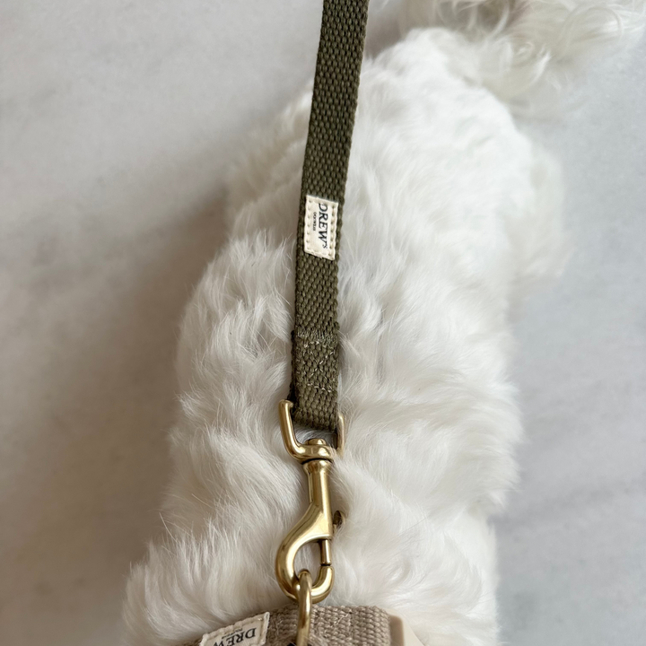 Grøn hundesnor på hvid hund