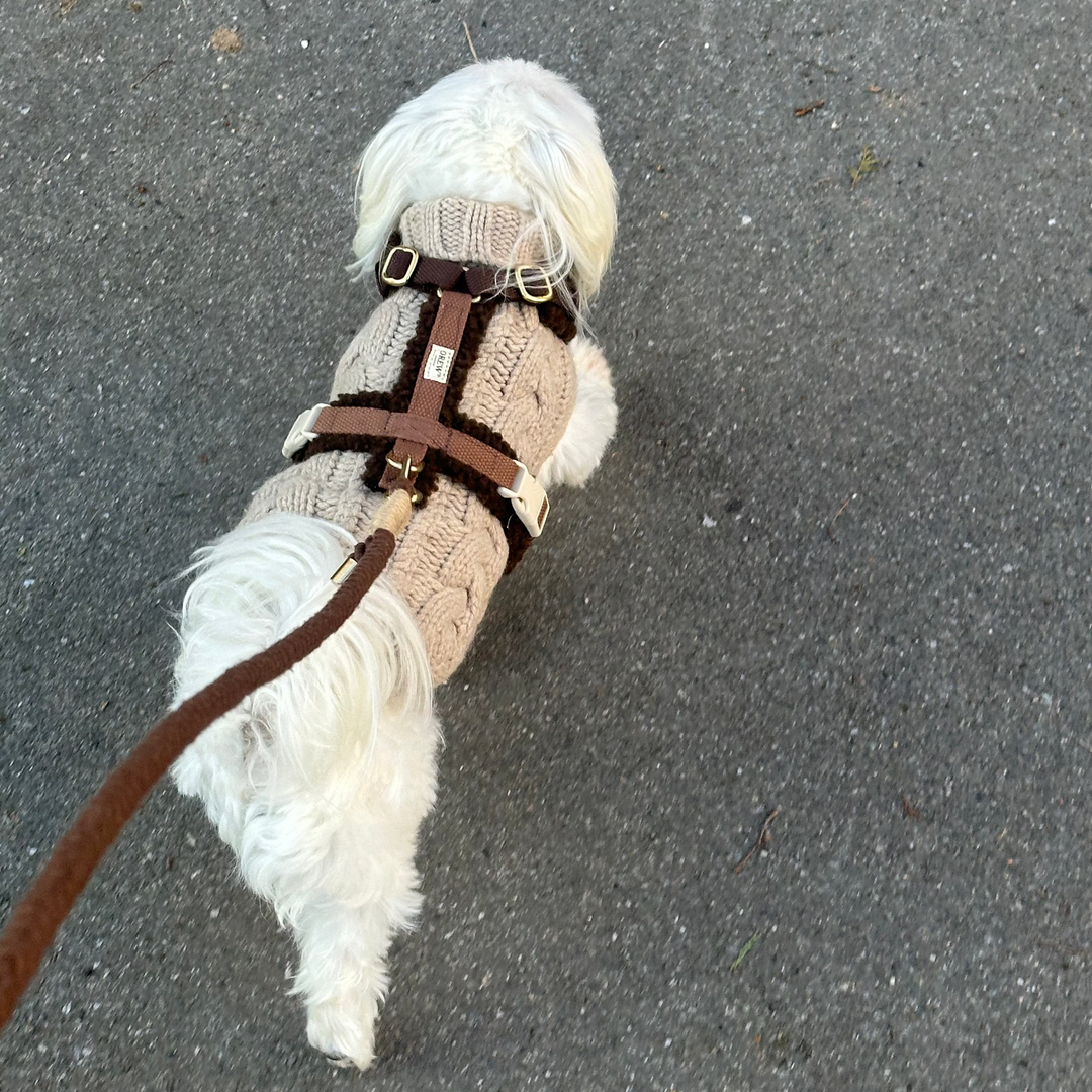 Hund i brun teddy sele over sweater