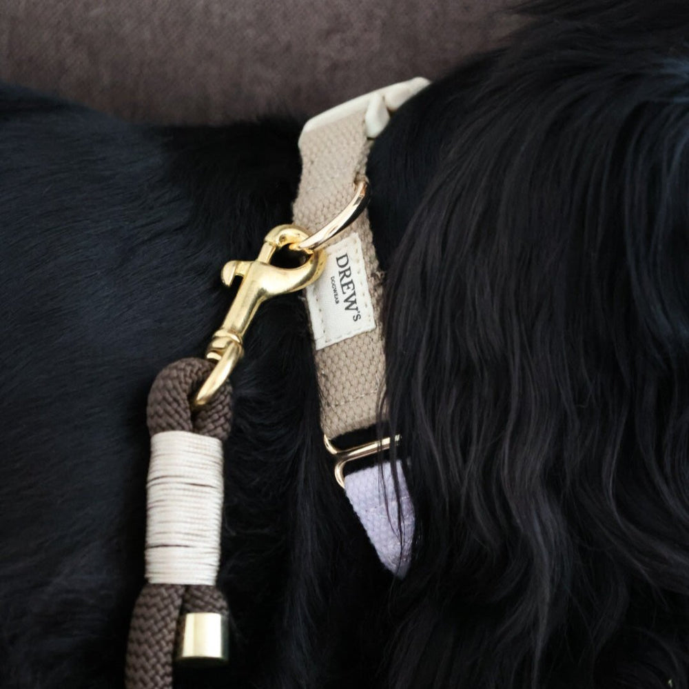 Blødt & justerbart hundehalsbånd i beige og lilla på sort hund.