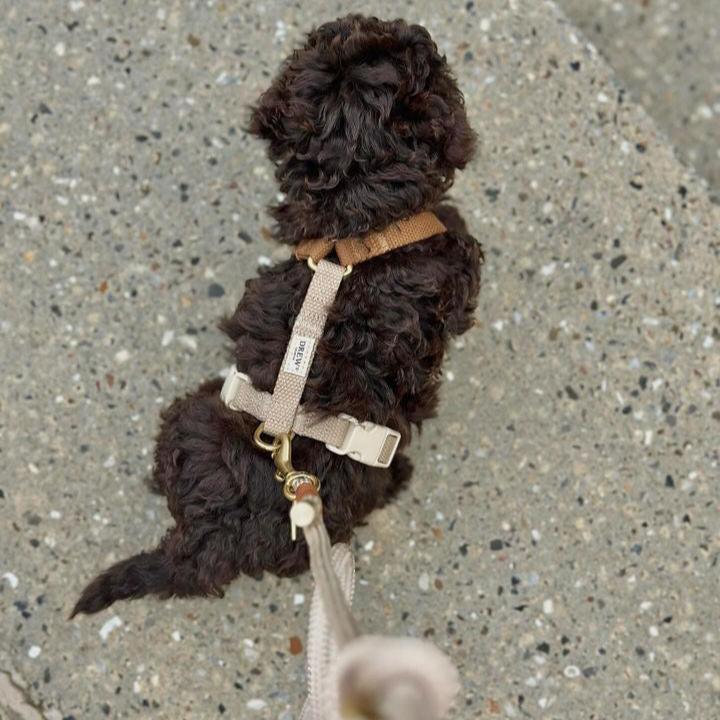 Justerbar hundesele i brun og beige på hundehvalp
