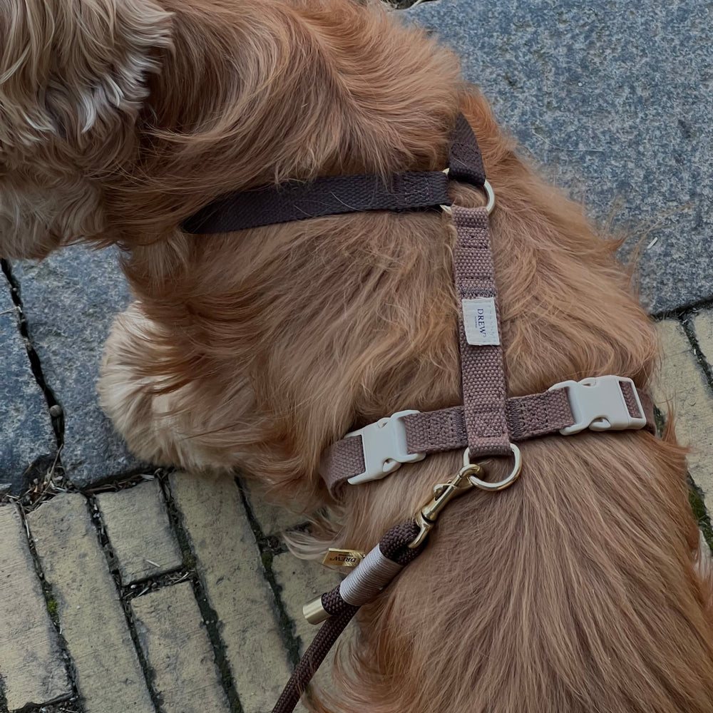 Hundesele i mørkebrun på hund