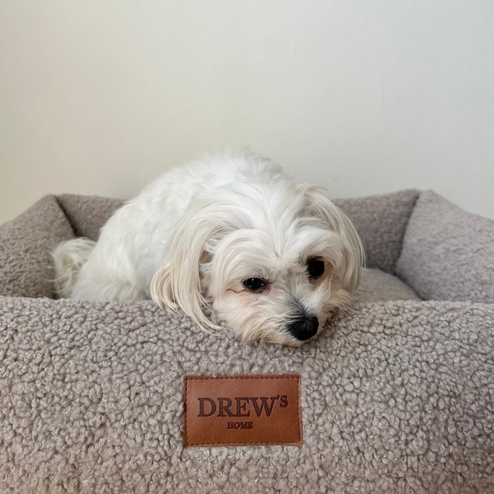 Hvid hund i beige hundekurv