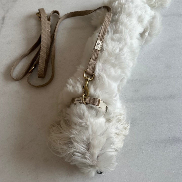 Hvid hund med beige hundesnor