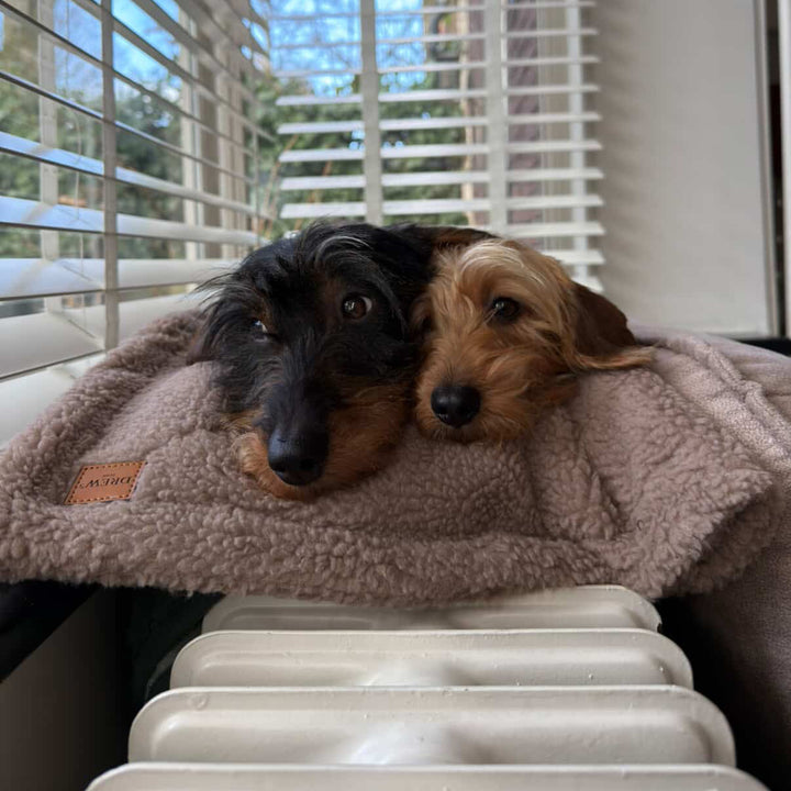 Soft dog blanket in teddy fleece - (brown)