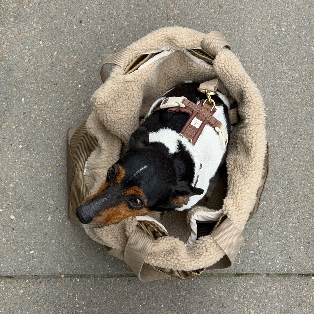 Sage / Dog bag with teddy lining (2026)