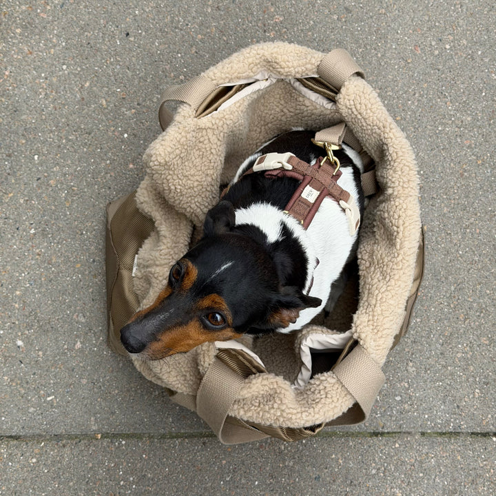 Sage / Dog bag with teddy lining (2026)