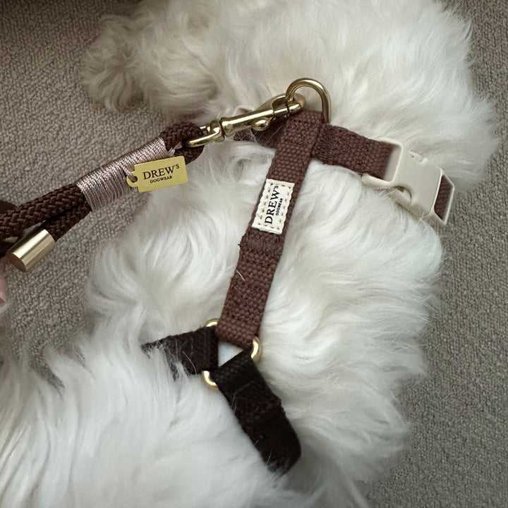 Brown set - Harness + Collar + Leash