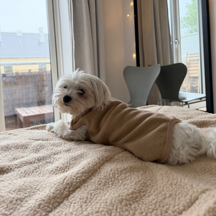 Kyoto / Fleece Dog Sweater (beige)