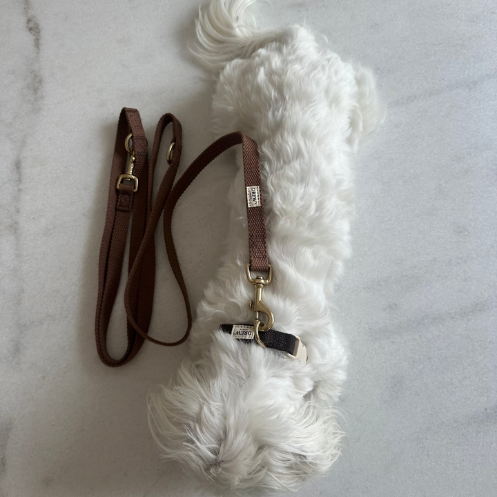 Brown / Adjustable cotton dog leash (Brown)