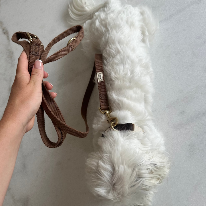 Brown / Adjustable cotton dog leash (Brown)