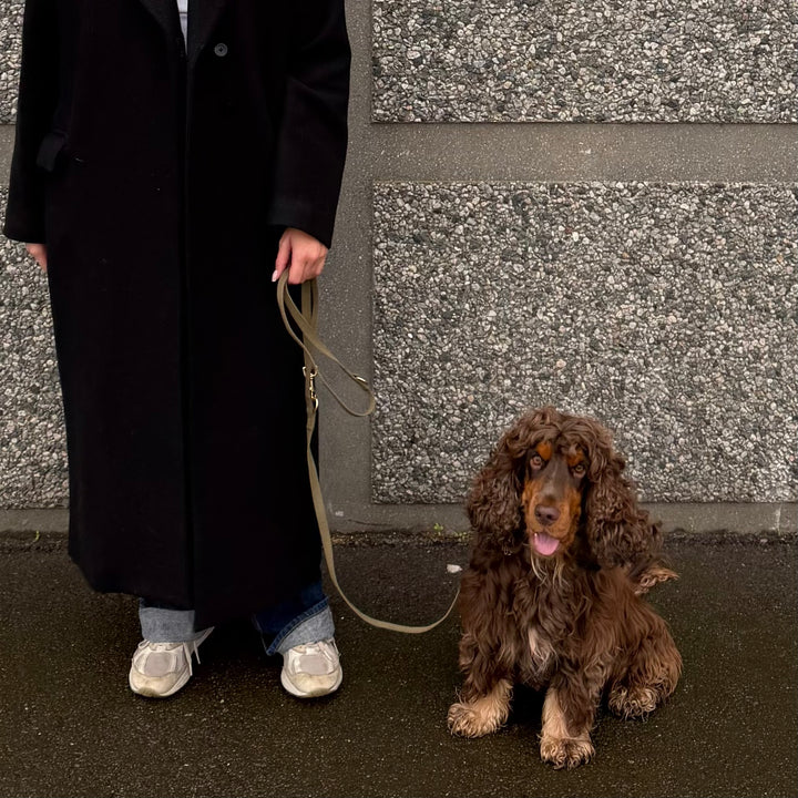 Olive / Blød & justerbar hundesnor