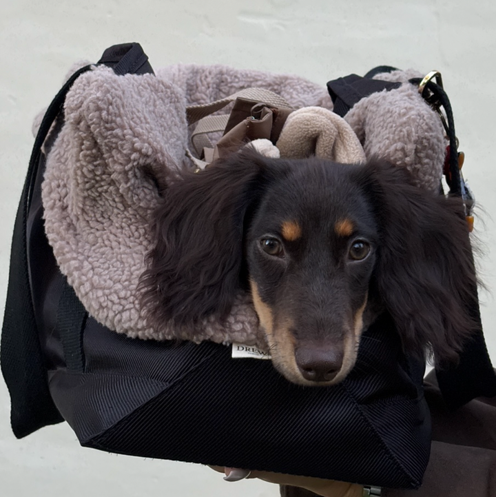 Noir / Hundetaske med teddy inderfor (2026)