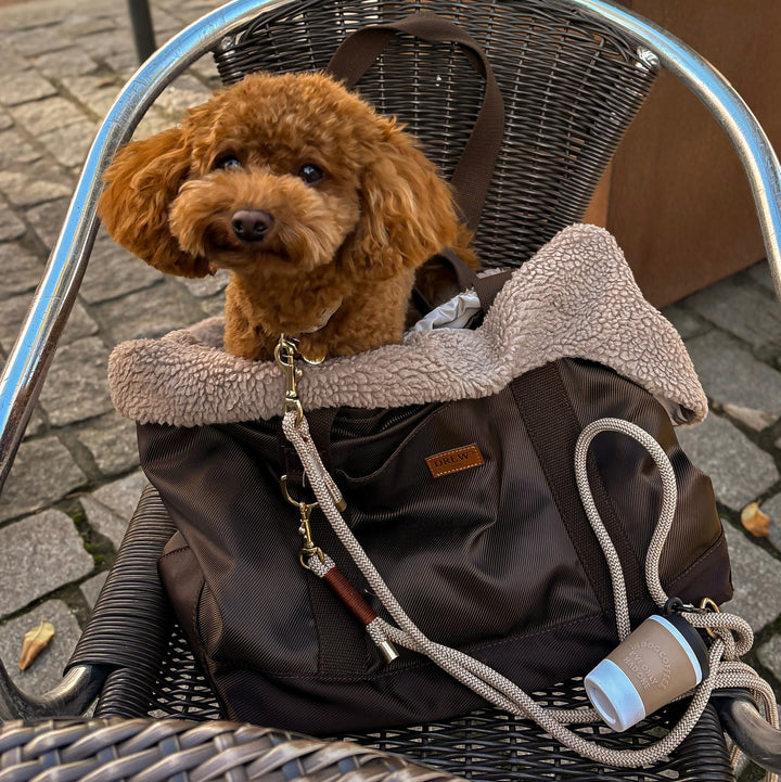 Cali / Hundetaske med teddy inderfor (2026)