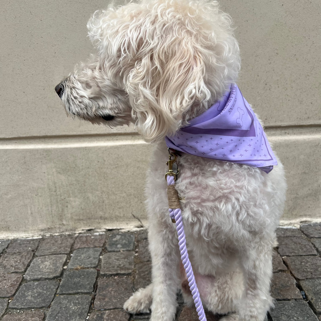 LILAC / Stylish dog bandana for medium and large dogs (Purple)