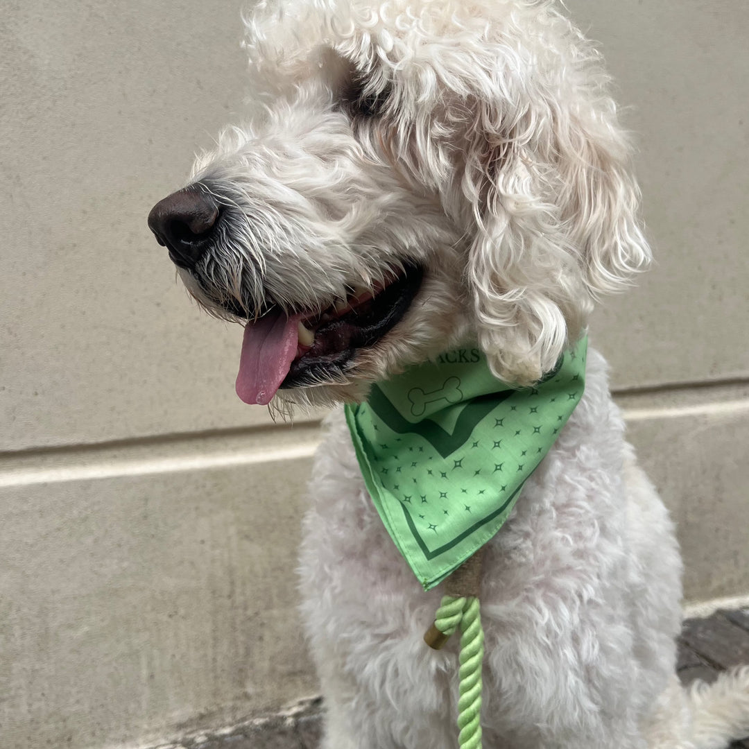 LIME / Stylisches Hundehalstuch für mittelgroße und große Hunde (Grün)