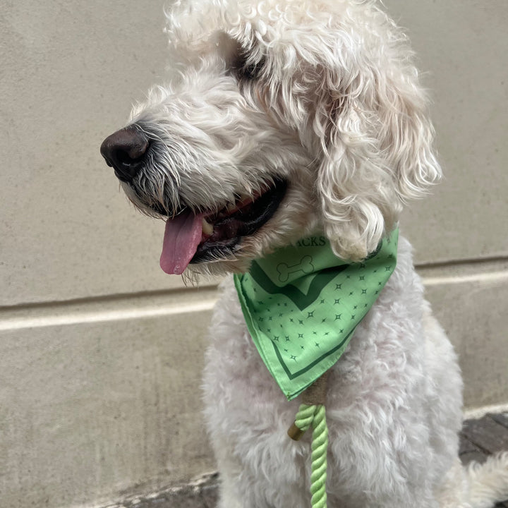 LIME / Stylisches Hundehalstuch für mittelgroße und große Hunde (Grün)