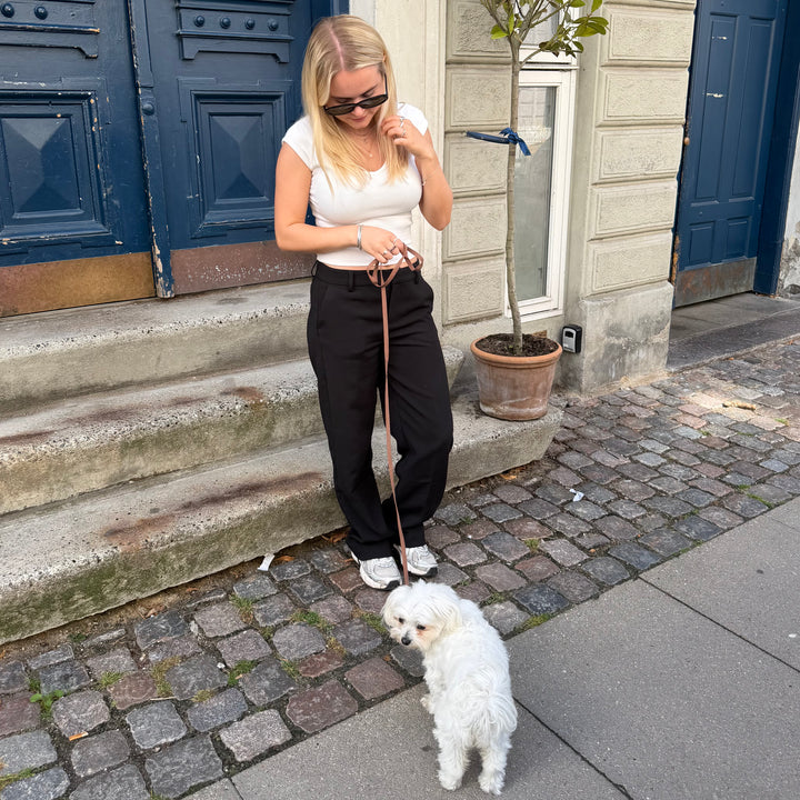 Brown / Light and soft puppy leash (mini)