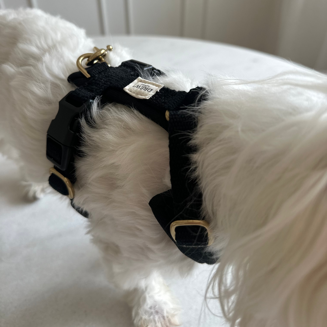 Justerbar hundesele med guld hardware