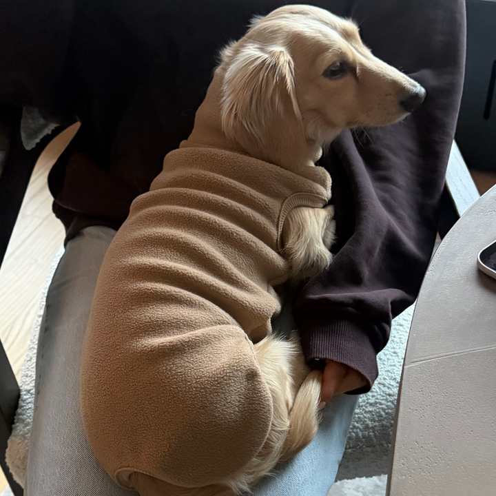 Kyoto / Fleece-Hundepullover Dackel (beige)