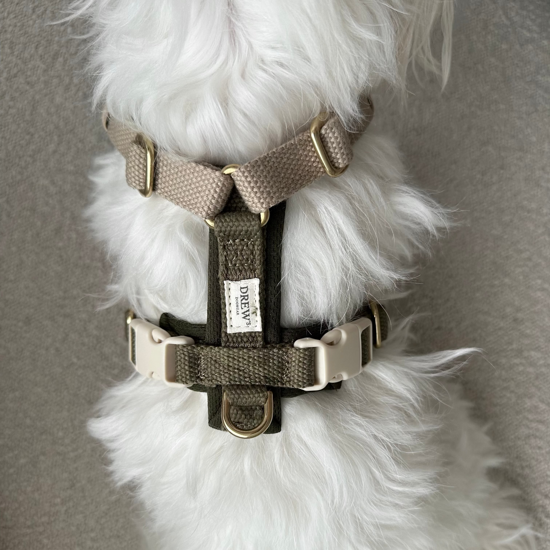 Olive PRO hundesele 