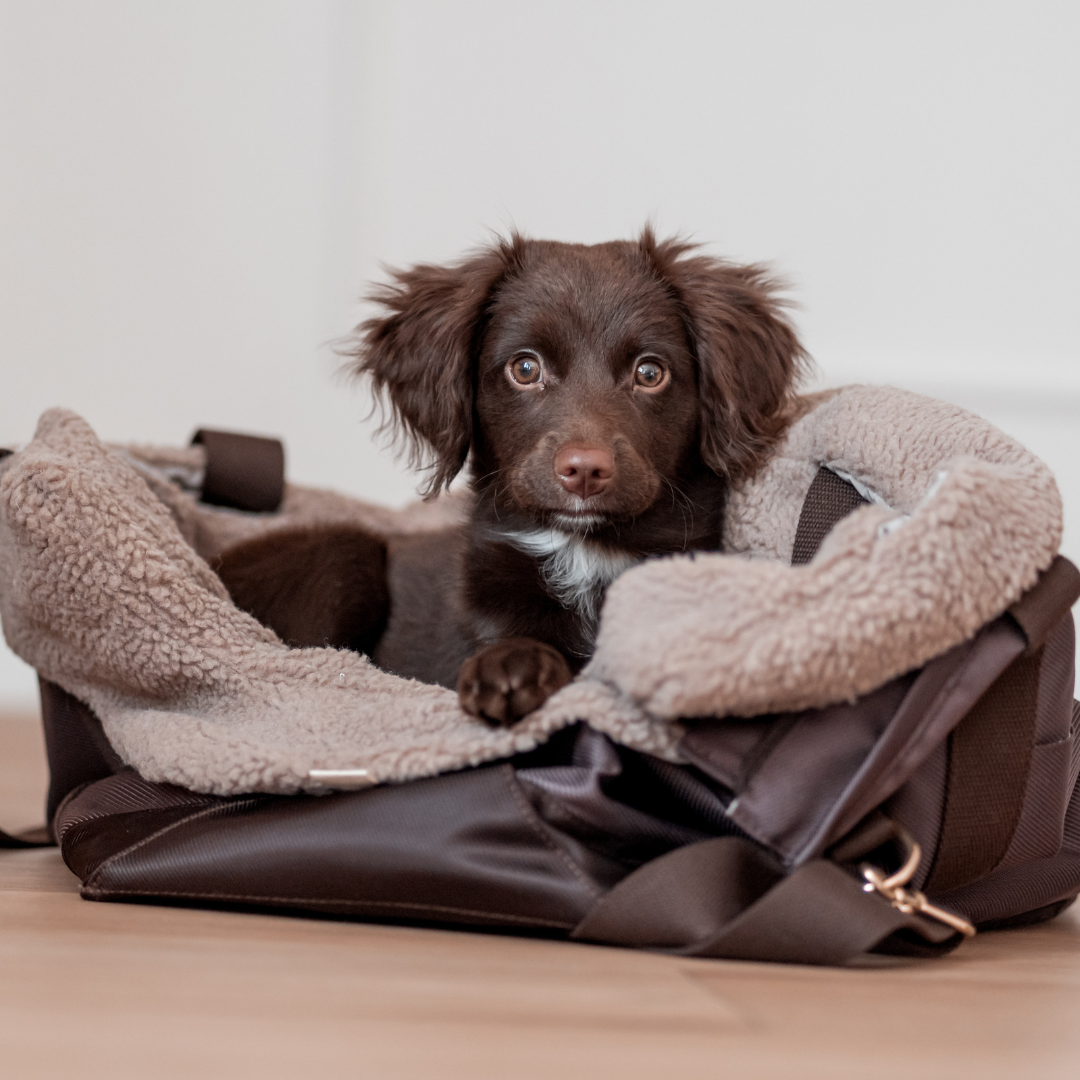 Cali // Sporty hundetaske med blødt inderfor i teddy fleece