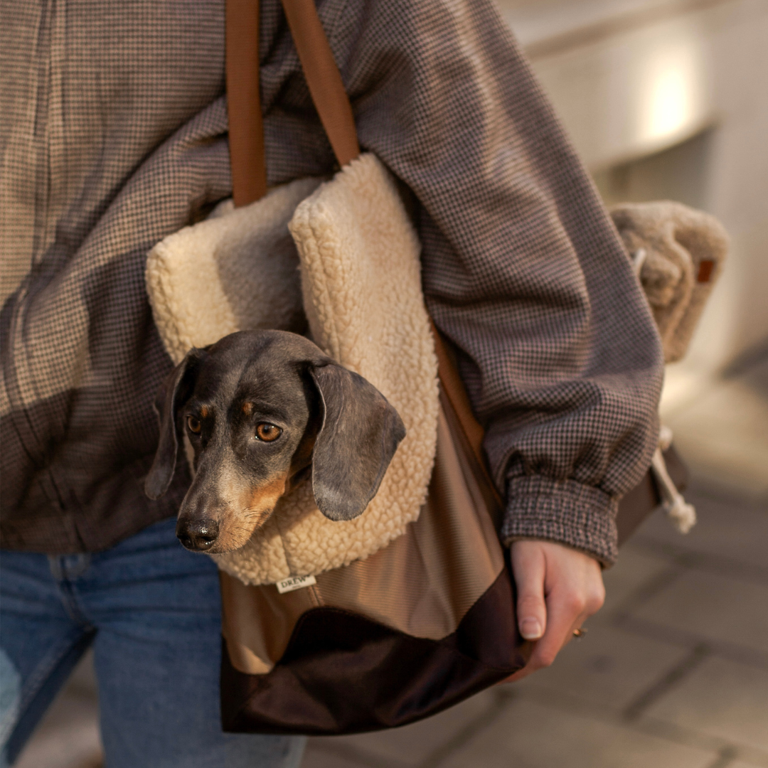 Aspen / Dog bag with teddy lining