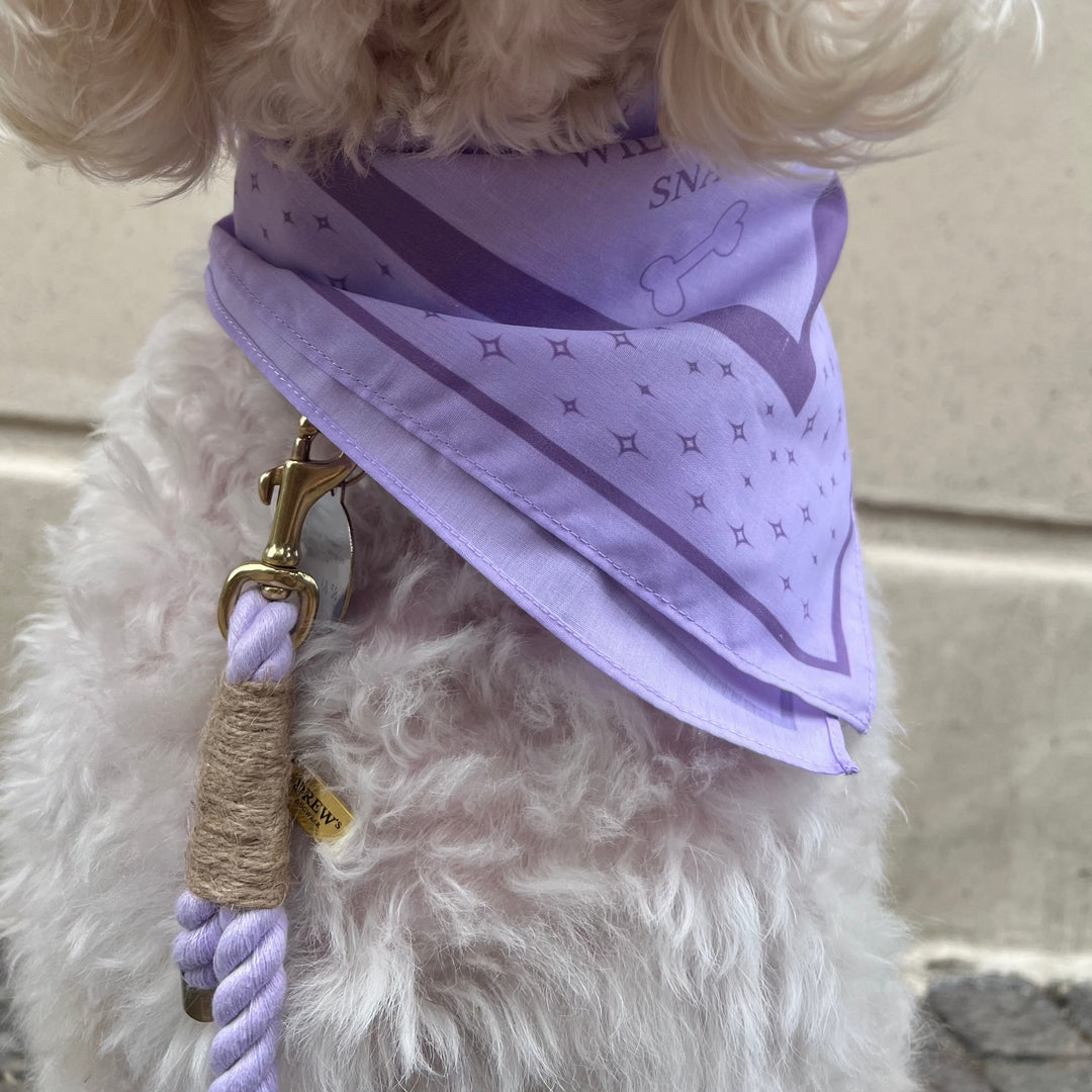 Lilla sæt med hundebandana og reb hundesnor på hund
