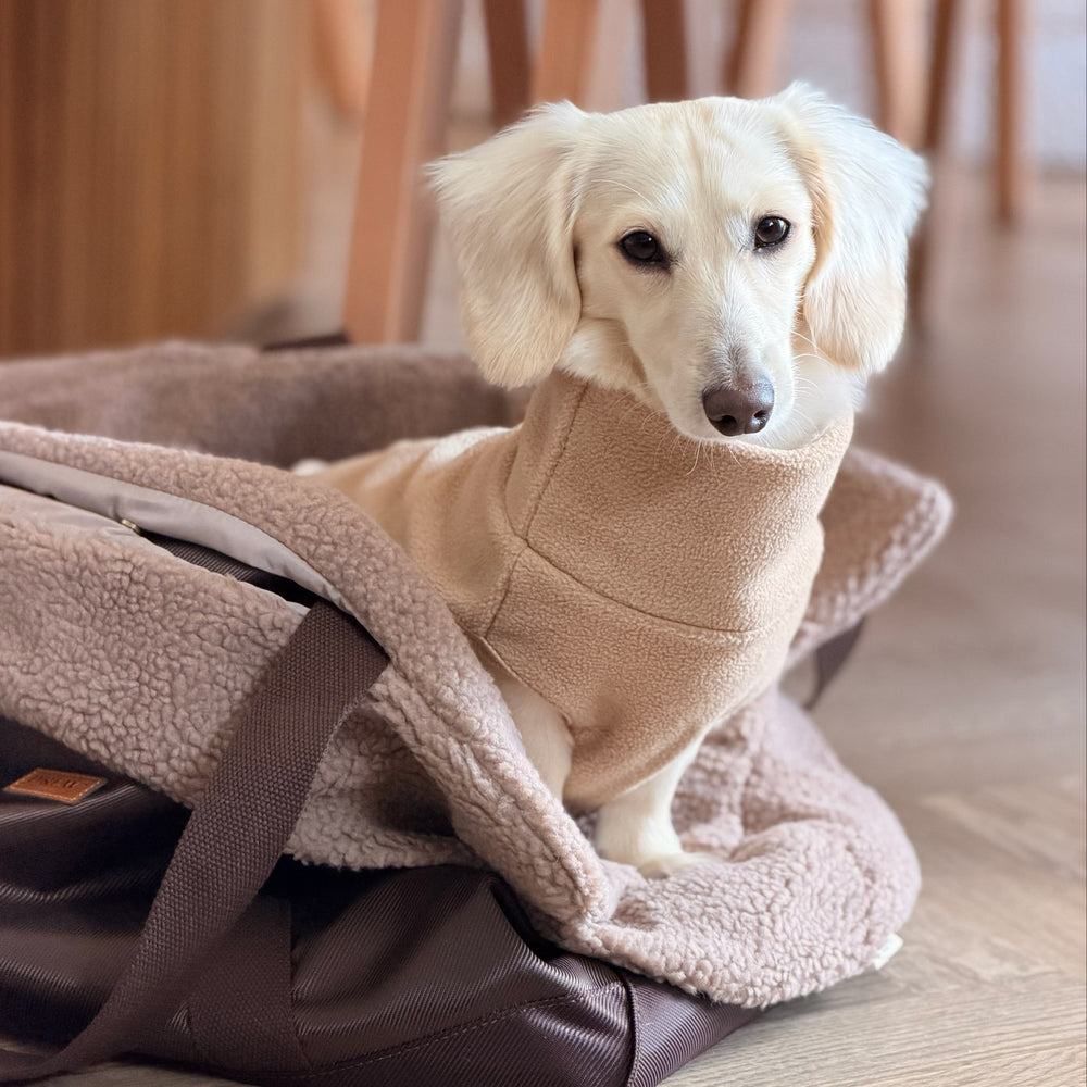 beige fleece sweater til gravhund