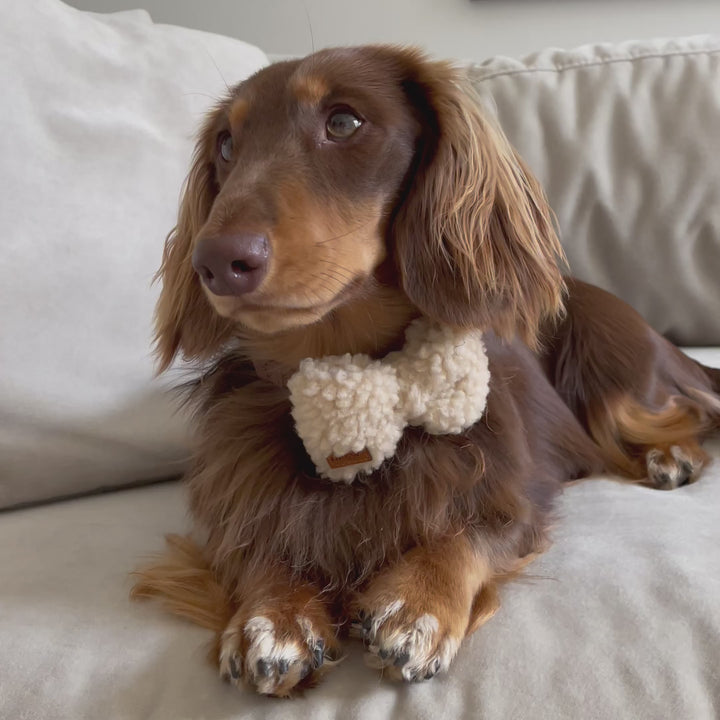 Teddy-Schmetterling / (Beige)