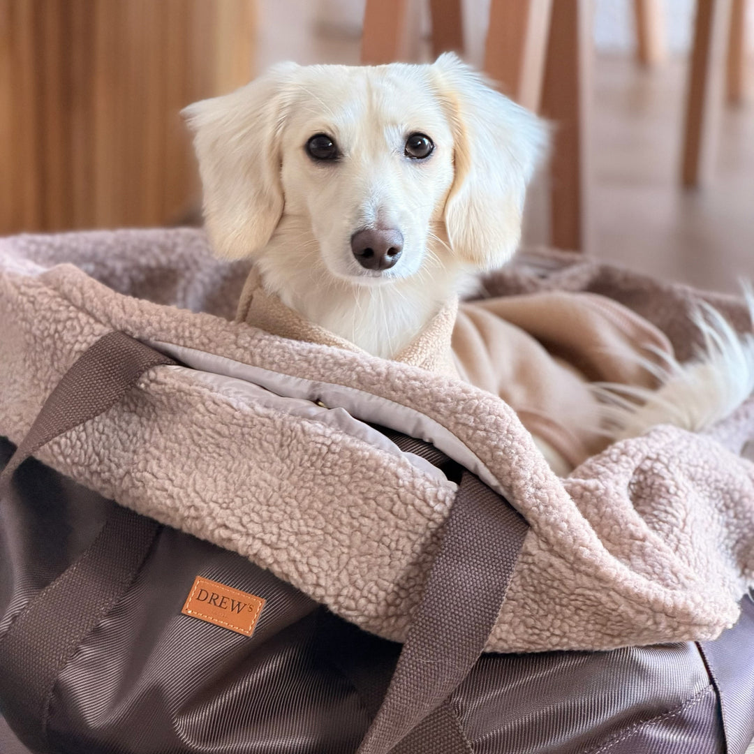Cali / Dog bag with teddy lining (2026)